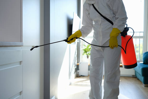 Trusted Panguitch, UT Mold Removal Experts